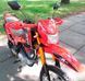 Мотоцикл VIPER V250L MOT-234 фото 6