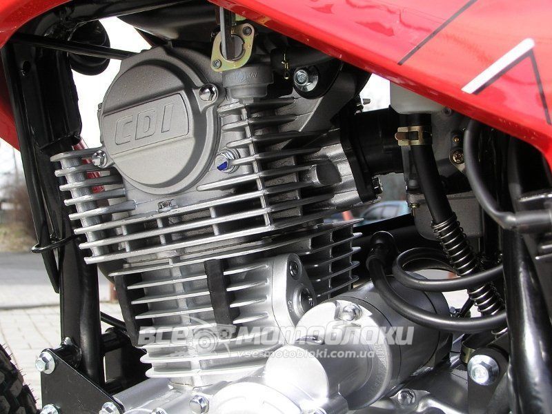 Мотоцикл VIPER V250L MOT-234 фото