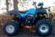 Квадроцикл SPARK SP250-4 KVD-092 фото 6