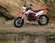 Мотоцикл Skybike CRDX 200 (MOTARD) MOT-085 фото 10