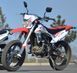 Мотоцикл Skybike CRDX 200 (MOTARD) MOT-085 фото 9