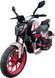 Мотоцикл SHINERAY NITROX 300 MOT-502 фото 2