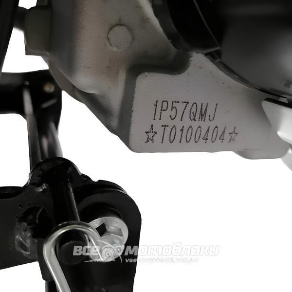 Скутер SPARK SP150S-21 SKU-143 фото