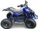 Электроквадроцикл Motoleader PIONEER 1000W/48V ELK-002 фото 2