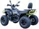 Квадроцикл FORTE AFC250 KVD-258 фото 3