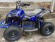 Электроквадроцикл Motoleader PIONEER 1000W/48V ELK-002 фото 8