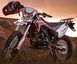 Мотоцикл SKYBIKE CRDX 250 MOT-292 фото 16