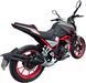 Мотоцикл SHINERAY NITROX 300 MOT-502 фото 5