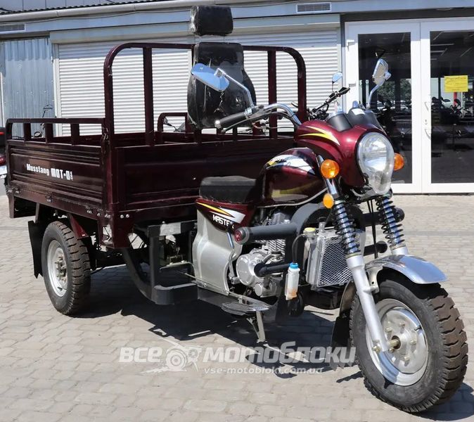 Трицикл вантажний MUSSTANG MT250ZH-4V TRI-002 фото