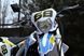 Мотоцикл SKYBIKE MZK 250 (MOTARD) MOT-086 фото 9