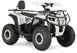 Квадроцикл FORTE AFP125 LUX KVD-253 фото 1