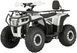 Квадроцикл FORTE AFP125 LUX KVD-253 фото 2