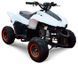 Квадроцикл ДЕТСКИЙ SPORT ENERGY N-1 110 KVD-094 фото 1