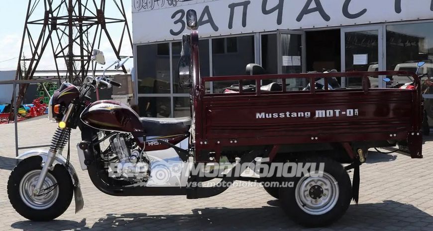 Трицикл вантажний MUSSTANG MT250ZH-4V TRI-002 фото