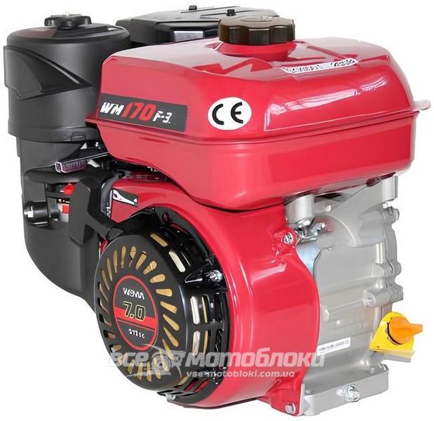 Двигатель WEIMA WM170F-3 DVIG119 фото