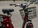 Електровелосипед Skybike 3-Cycl ELV-015 фото 19