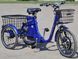Електровелосипед Skybike 3-Cycl ELV-015 фото 2