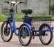 Електровелосипед Skybike 3-Cycl ELV-015 фото 6