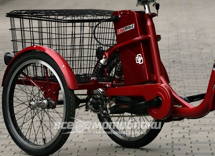 Електровелосипед Skybike 3-Cycl ELV-015 фото