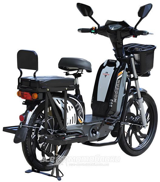 Електровелосипед Тата TTG Modern EB 800W VSKU-003 фото