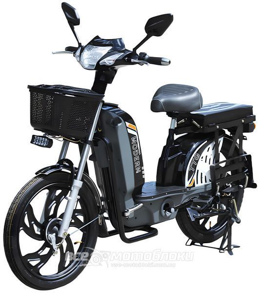 Електровелосипед Тата TTG Modern EB 800W VSKU-003 фото