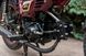 Мопед SKYMOTO SIMPLE 110 MOP-046 фото 13