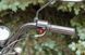 Мопед SKYMOTO SIMPLE 110 MOP-046 фото 19