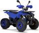 Квадроцикл FORTE ATV125B KVD-152 фото 1