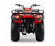 Квадроцикл FORTE ATV-250BS PRO KVD-260 фото 8