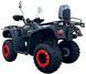 Квадроцикл FORTE ATV-250BS PRO KVD-260 фото 2