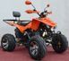Квадроцикл BASHAN CK 150S-3H KVD-001 фото 3
