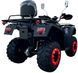Квадроцикл FORTE ATV-250BS PRO KVD-260 фото 3