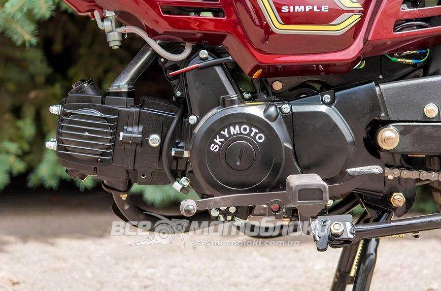 Мопед SKYMOTO SIMPLE 110 MOP-046 фото