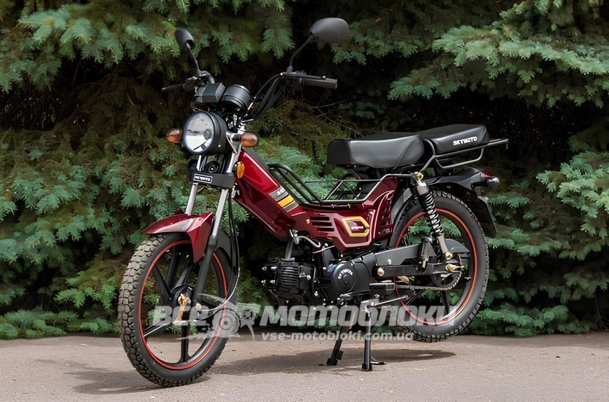 Мопед SKYMOTO SIMPLE 110 MOP-046 фото