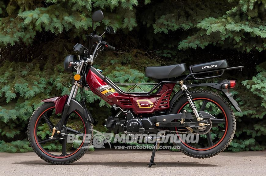 Мопед SKYMOTO SIMPLE 110 MOP-046 фото