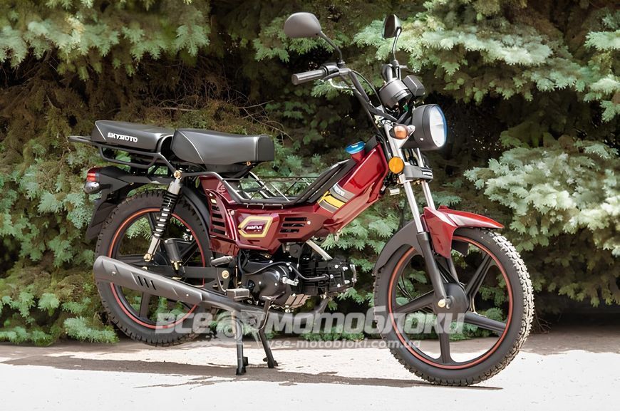 Мопед SKYMOTO SIMPLE 110 MOP-046 фото