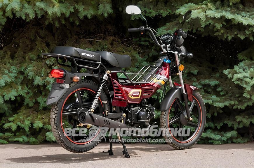 Мопед SKYMOTO SIMPLE 110 MOP-046 фото
