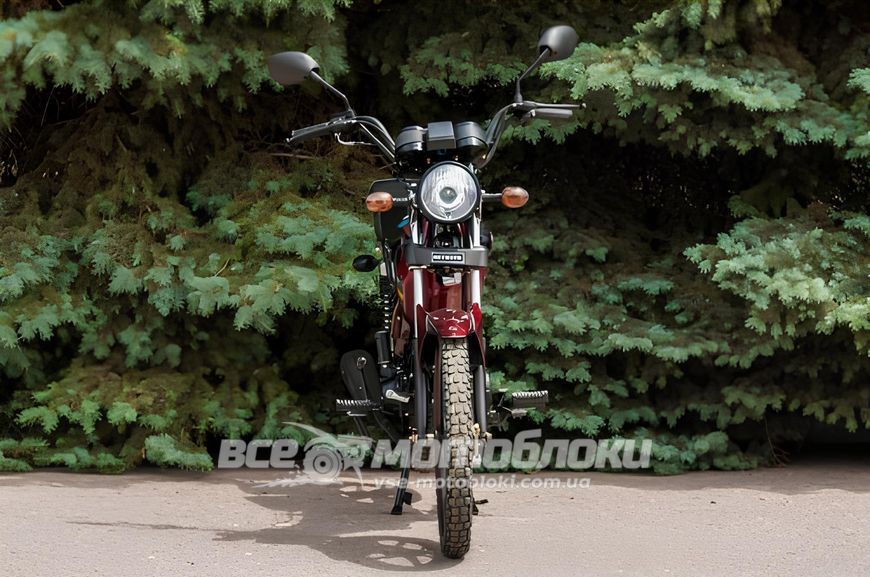 Мопед SKYMOTO SIMPLE 110 MOP-046 фото