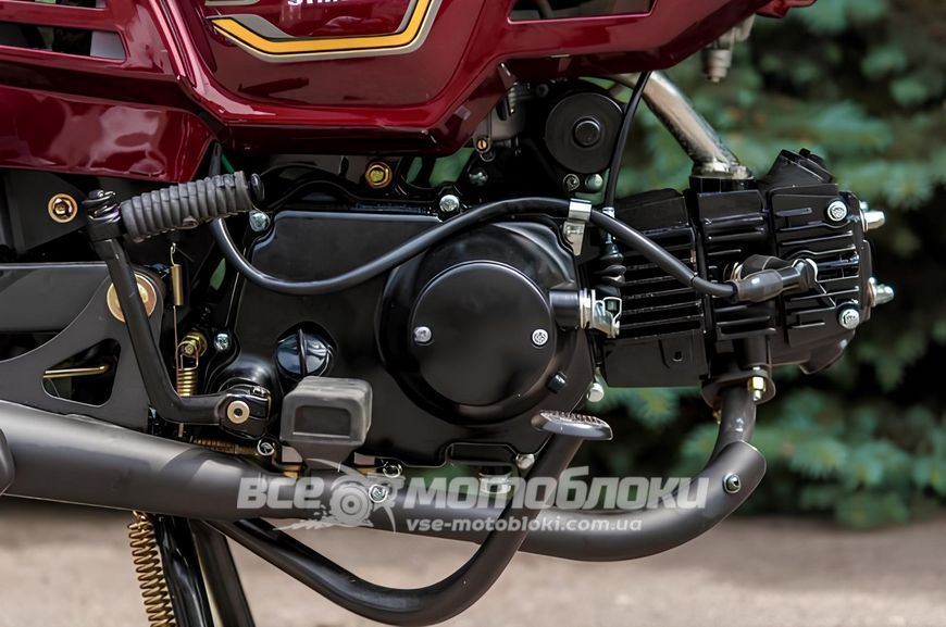 Мопед SKYMOTO SIMPLE 110 MOP-046 фото