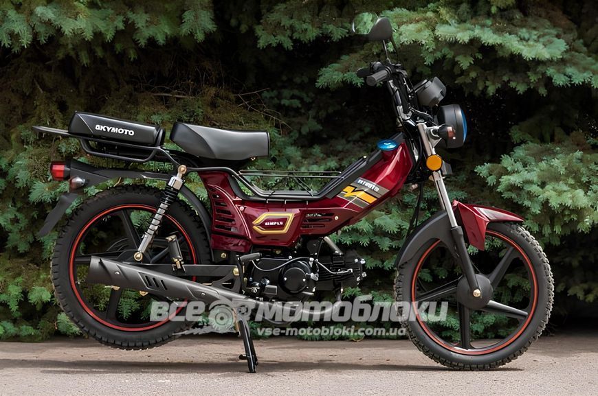 Мопед SKYMOTO SIMPLE 110 MOP-046 фото