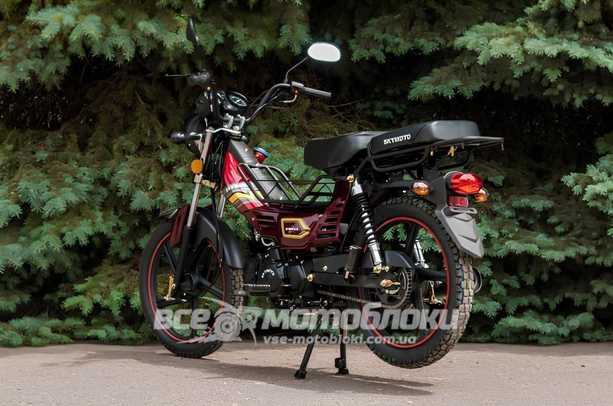 Мопед SKYMOTO SIMPLE 110 MOP-046 фото
