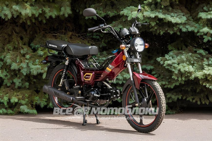 Мопед SKYMOTO SIMPLE 110 MOP-046 фото