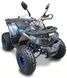Квадроцикл FORTE SHARK 125 KVD-153 фото 1