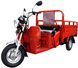 Трицикл вантажний RENEGADE LTA-200CC TRI-010 фото 2