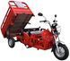 Трицикл вантажний RENEGADE LTA-200CC TRI-010 фото 8
