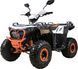 Квадроцикл ASIX Crizzly 125 (Белый) KVD-348 фото 3