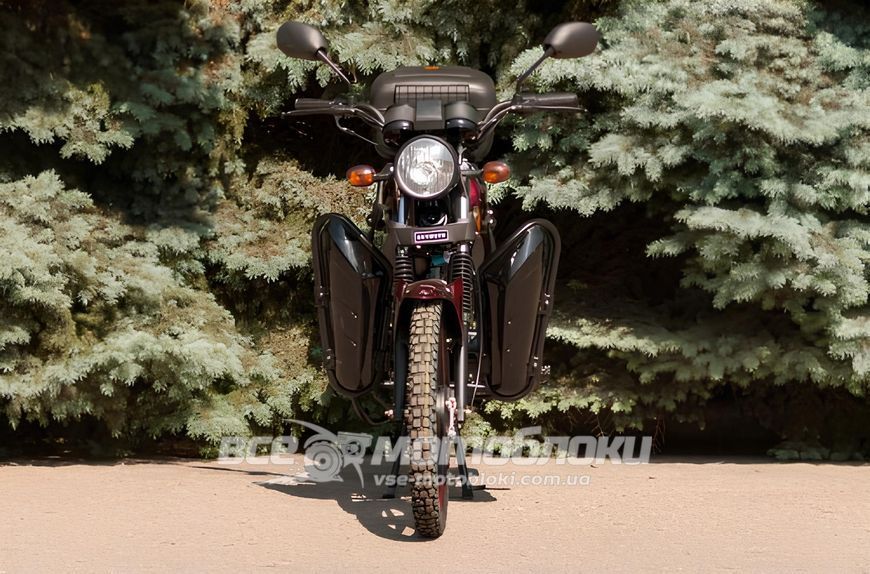 Мопед SKYMOTO WORKER 110 MOP-047 фото