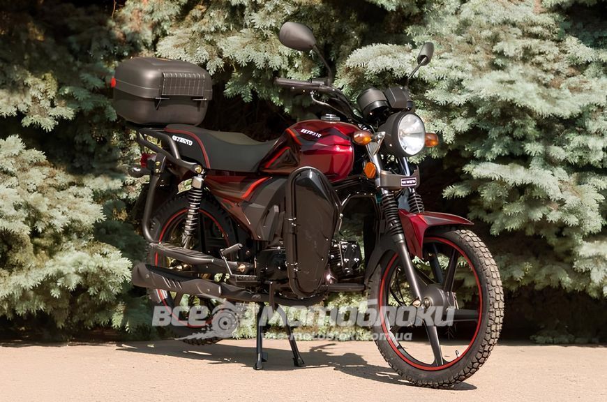 Мопед SKYMOTO WORKER 110 MOP-047 фото