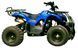 Квадроцикл SKYBIKE HYPER 110 KVD-103 фото 4