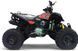 Квадроцикл BASHAN BS250S-11B KVD-003 фото 2